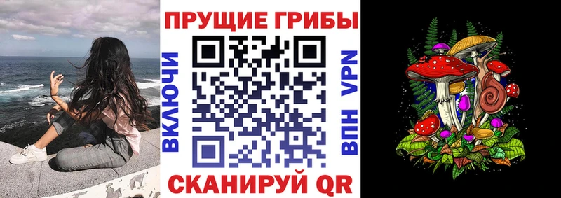 хочу   Муравленко  Псилоцибиновые грибы Magic Shrooms 